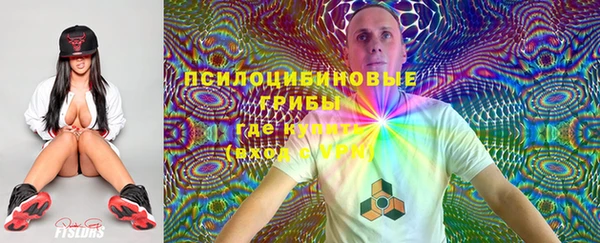 метадон Беломорск