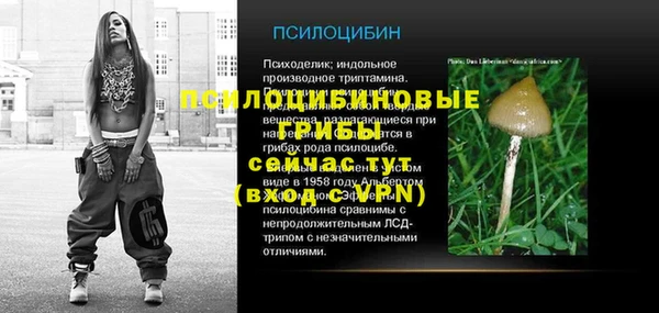 мескалин Белокуриха