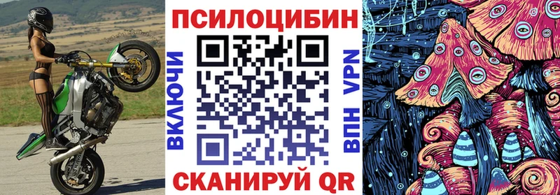 где найти наркотики  Михайлов  Псилоцибиновые грибы Magic Shrooms 